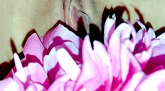 IMG_20250607_221430.jpg