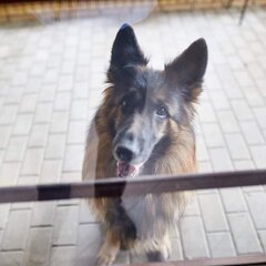 Kiara.jpg