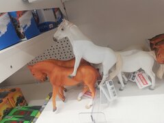 IMG_20220805_112925.jpg