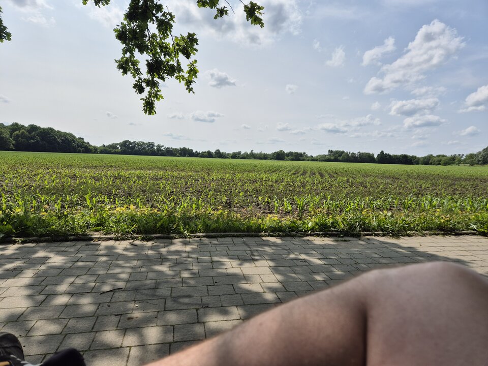 1000001625.jpg - Xavier_stw
