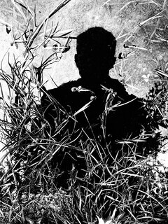 IMG_8150.jpeg