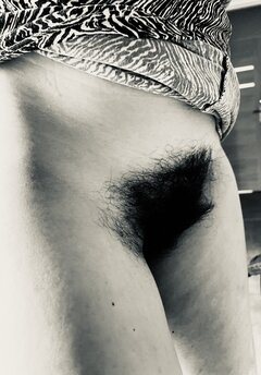 IMG_3977.jpeg