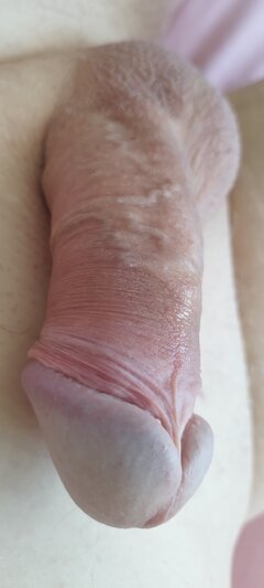 IMG_20250613_090153.jpg