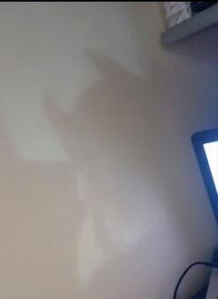 Mur rr