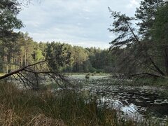 IMG_4782.jpeg