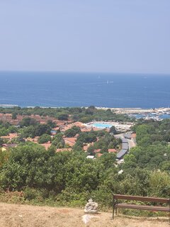20250613_123944.jpg