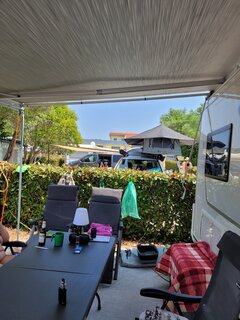 20250609_130947.jpg