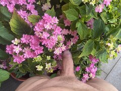 IMG_3499.jpeg