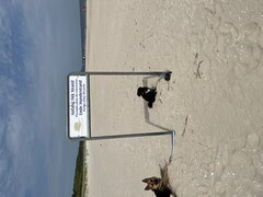 IMG_0548.jpeg