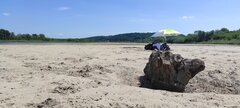 IMG_20250615_104359.jpg