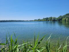 20250615_125228.jpg