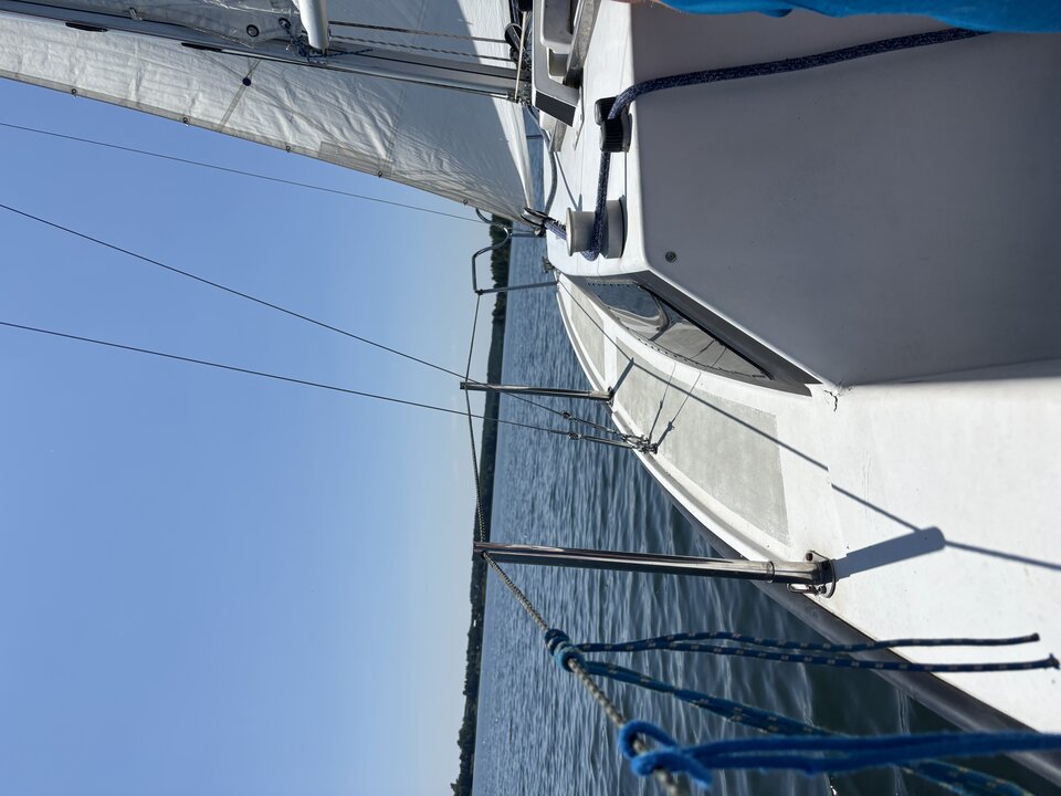 IMG_6878.jpeg - MagdMar7