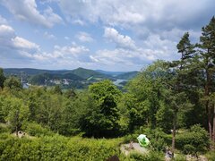 IMG_20250614_122558632.jpg