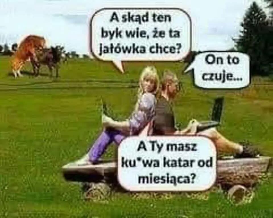 1000001648.jpg - Lizacipke