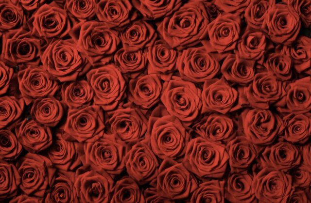 RomantycznyByczek84