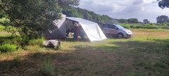 IMG_20250619_081316.jpg