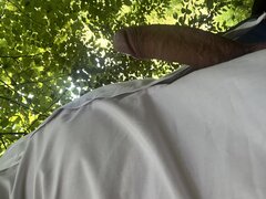 IMG_0413.jpeg
