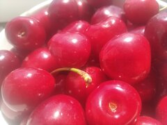 IMG_20250619_110805_1.jpg