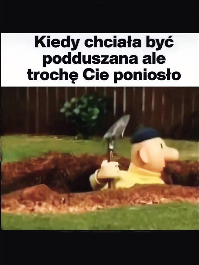 Ostrapara4330