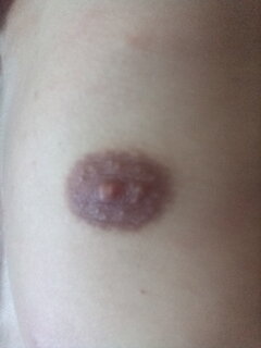 17505772193331165204764491859061.jpg
