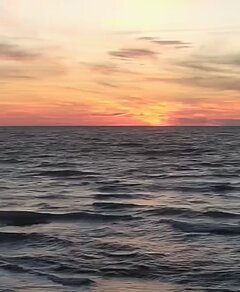 IMG_20240729_212345.jpg