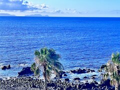 IMG_8737.jpeg