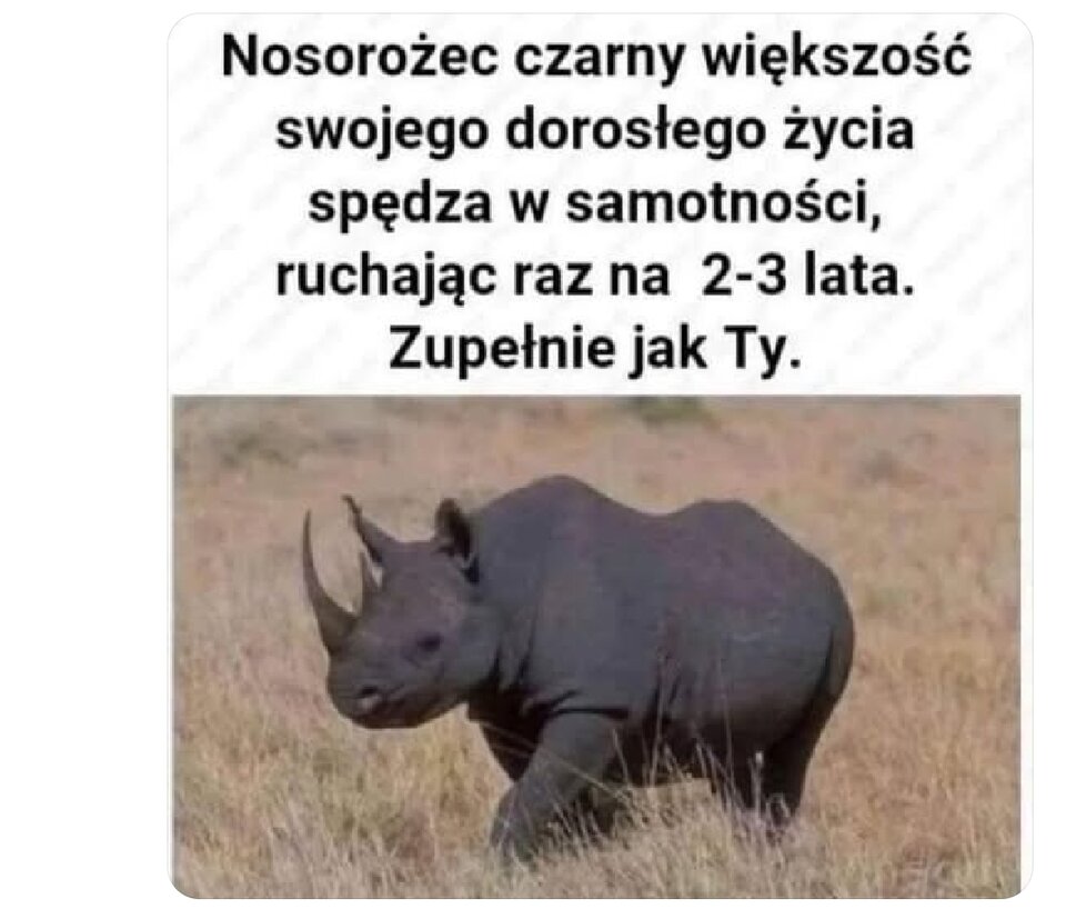 1000018812.jpg - Operator_odkurzacza