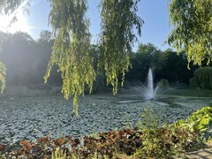 IMG_1334.jpeg