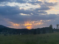 IMG-20250622-WA0046.jpg