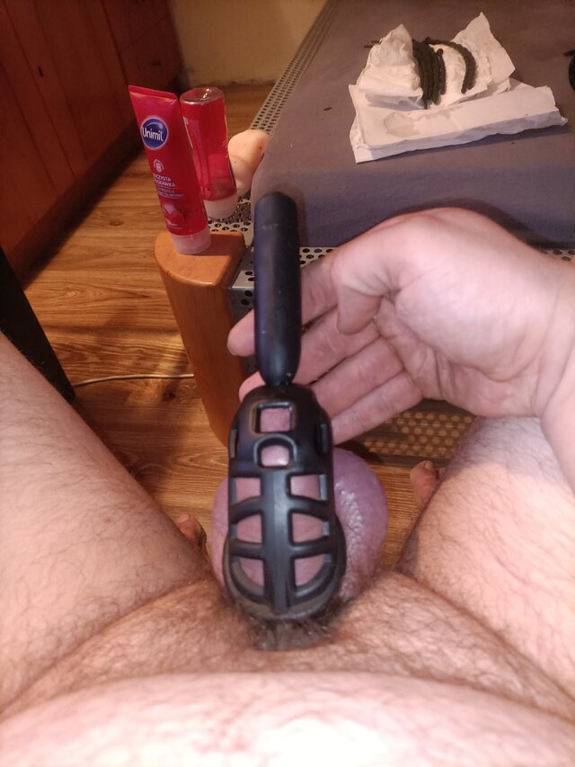 Bartekspoko66