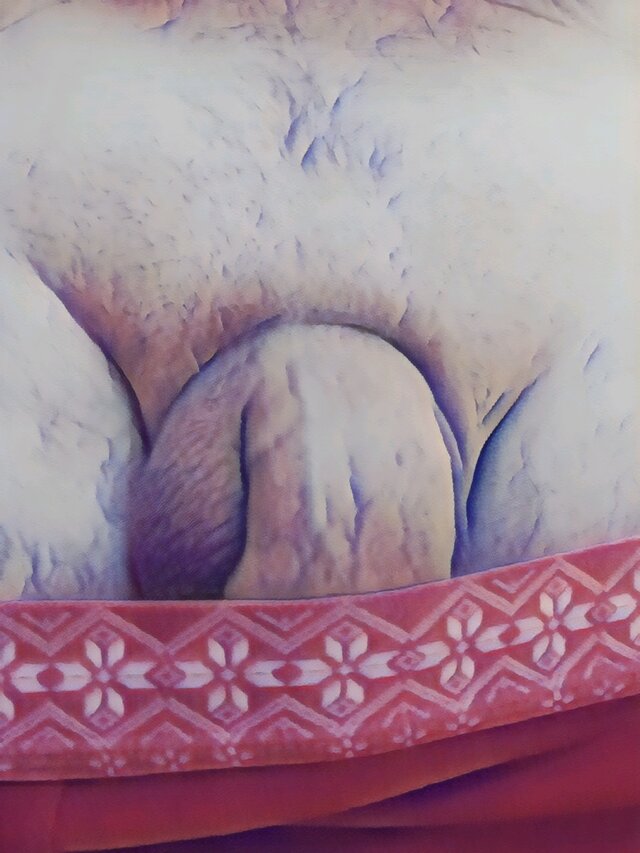 TonySoprano14