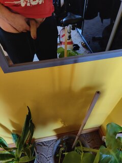 IMG20250319115027.jpg