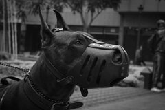 IMG_1100.jpeg