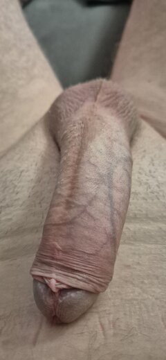 20250626_063353.jpg