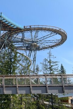 IMG_20250626_103915.jpg