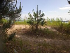 IMG_20250626_150528.jpg
