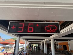 IMG_2320.jpeg