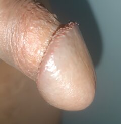 IMG_20250626_171134.jpg