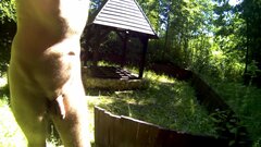 20250628_150817A.mp4_snapshot_06.11.918.jpg