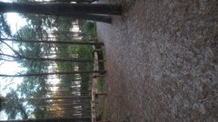 20250629_053053.jpg