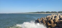 IMG_20250629_180301.jpg