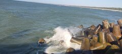 IMG_20250629_180320.jpg
