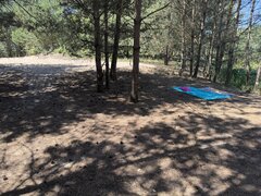 IMG_2246.jpeg