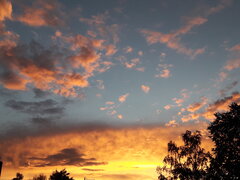 20200822_200538.jpg