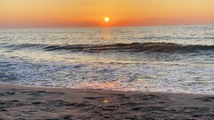 IMG_3672.jpeg