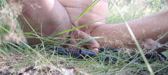 IMG20250701164059.jpg