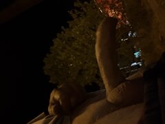IMG_2332.jpeg