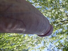 1000027445.jpg