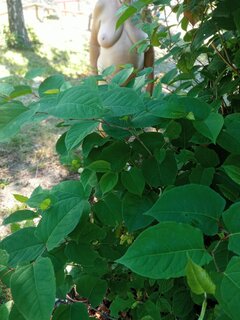IMG_20250702_092835.jpg