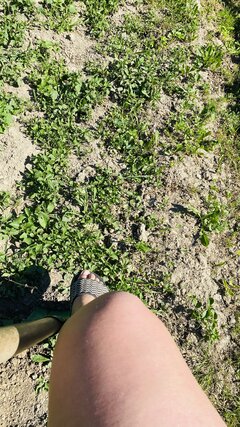 IMG_5950.jpeg